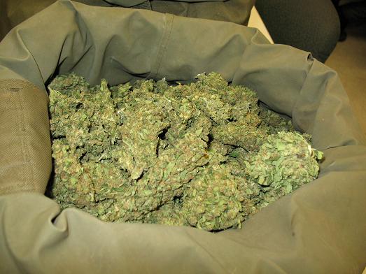 Happy_Canyon_Marijuana-2.jpg
